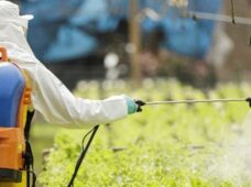 Pulverizadores portáteis otimizam produção com sustentabilidade