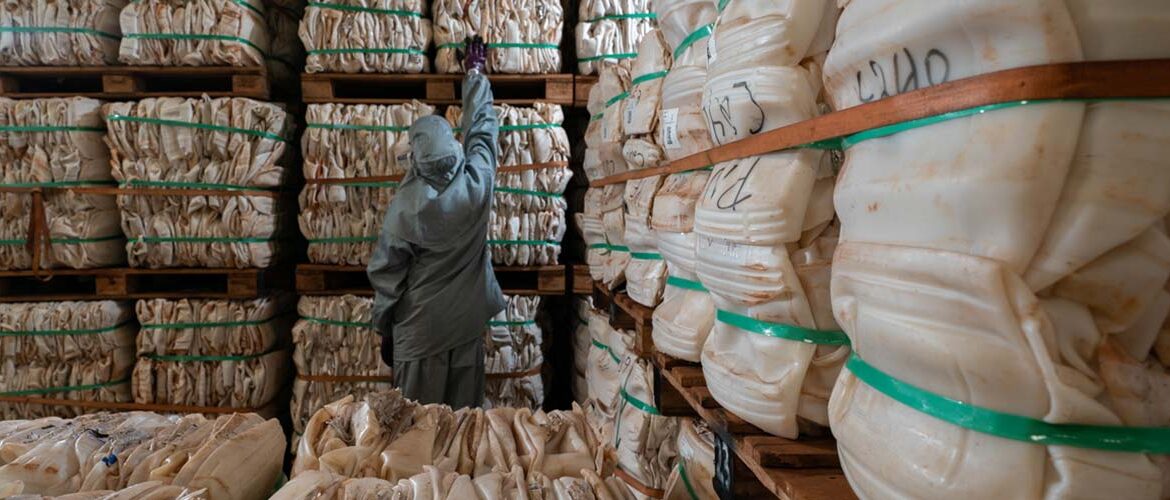 Experiências em economia circular colocam Brasil em destaque