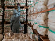 Experiências em economia circular colocam Brasil em destaque