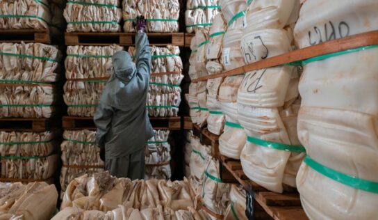 Experiências em economia circular colocam Brasil em destaque