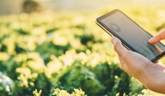 Agricultura de precisão: o respeito à variabilidade