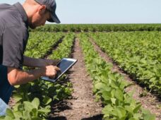 Cresce conectividade via redes privativas móveis