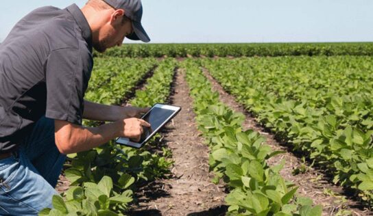 Cresce conectividade via redes privativas móveis