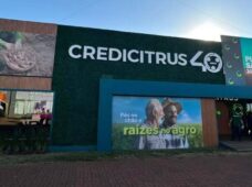 Credicitrus leva R$ 1 bi em créditos pré-aprovados na Agrishow