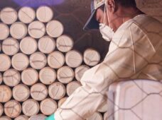 Sistema Campo Limpo: iniciativa de sucesso