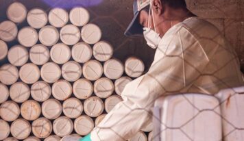 Sistema Campo Limpo: iniciativa de sucesso