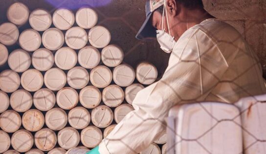 Sistema Campo Limpo: iniciativa de sucesso