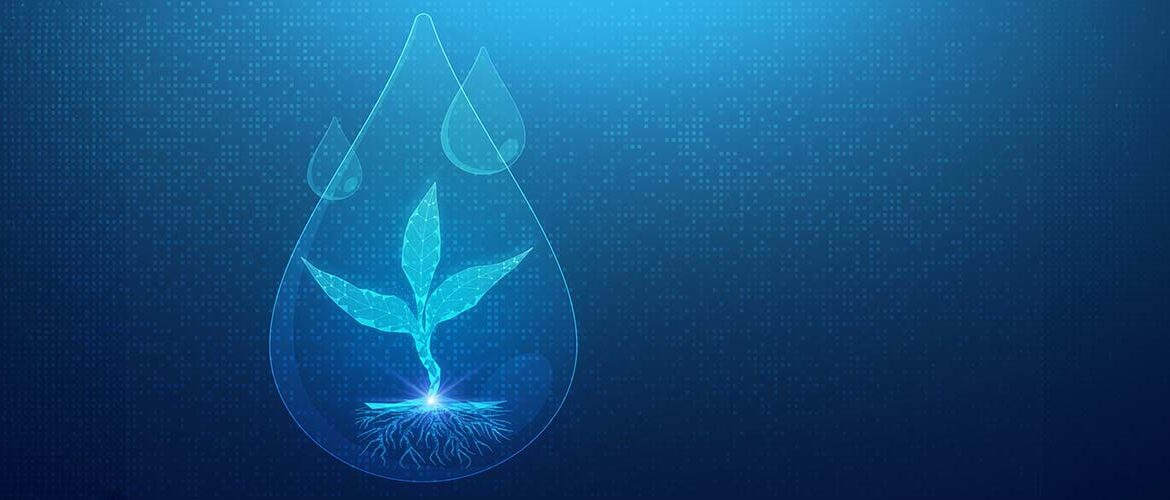A expansão da adesão pelos produtores é desafio para a irrigação