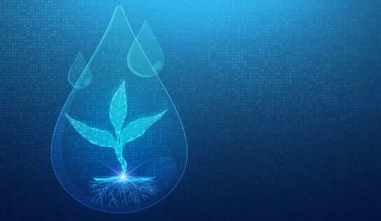 A expansão da adesão pelos produtores é desafio para a irrigação