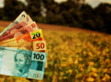 Agro, no Santander, soma crédito de R$ 10 bi para toda a cadeia