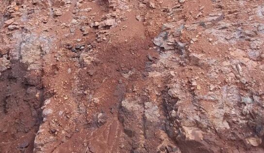 Estudo do SGB revela potencial de titânio nos solos do Paraná e de Santa Catarina