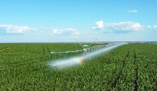 Produtor que duvidava da irrigação hoje opera 12 pivôs e planeja três safras por ano