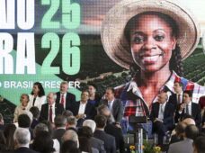 Plano Safra prevê R$ 516,2 bi para financiamento da agricultura e da pecuária