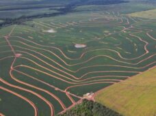 Parceria prevê recuperar 1 milhão de hectares de pastagens no Brasil até 2030