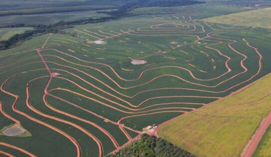 Parceria prevê recuperar 1 milhão de hectares de pastagens no Brasil até 2030