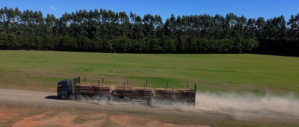 Fabricante reforça presença no segmento fora de estrada com soluções robustas e personalizadas