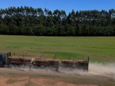 Fabricante reforça presença no segmento fora de estrada com soluções robustas e personalizadas