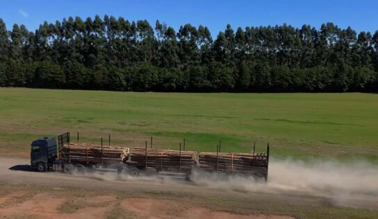 Fabricante reforça presença no segmento fora de estrada com soluções robustas e personalizadas