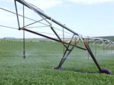 Nova empresa fortalece o cenário da irrigação