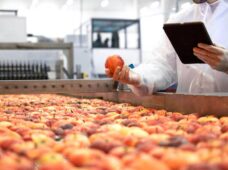 FGVAgro: Agroindústria tem queda de 0,3% em novembro de 2025