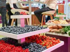 Fruit Attraction: exposição ganha apoio da ABIMAQ