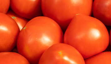 Mecanização impulsiona produção de tomate no Brasil e fortalece competitividade