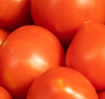 Mecanização impulsiona produção de tomate no Brasil e fortalece competitividade