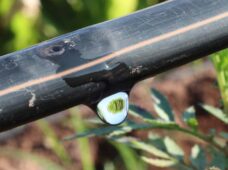 Irrigação no tempo certo: como o planejamento antecipado facilita a implantação e amplia os resultados na lavoura