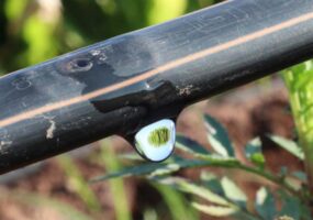 Irrigação no tempo certo: como o planejamento antecipado facilita a implantação e amplia os resultados na lavoura