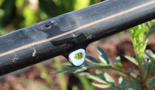 Irrigação no tempo certo: como o planejamento antecipado facilita a implantação e amplia os resultados na lavoura