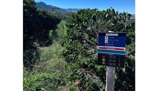 Cooxupé lidera venda de créditos de carbono no café