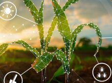 Máquinas e equipamentos conectam produtividade, sustentabilidade e rentabilidade