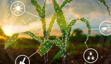 Máquinas e equipamentos conectam produtividade, sustentabilidade e rentabilidade