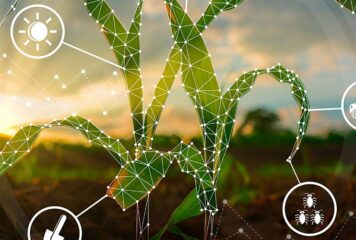 Máquinas e equipamentos conectam produtividade, sustentabilidade e rentabilidade