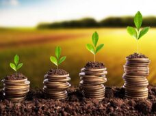 Artigo: A bioeconomia brasileira em transformação