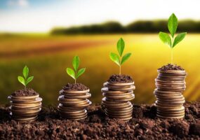 Artigo: A bioeconomia brasileira em transformação