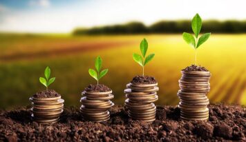 Artigo: A bioeconomia brasileira em transformação