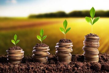 Artigo: A bioeconomia brasileira em transformação