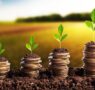 Artigo: A bioeconomia brasileira em transformação