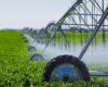 Irrigação: ferramenta estruturante