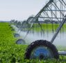 Irrigação: ferramenta estruturante