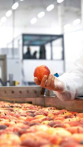 FGVAgro: agroindústria expande 1,8% em abril
