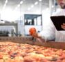 FGVAgro: agroindústria expande 1,8% em abril