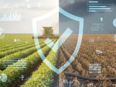 EY aponta grau de preparo das empresas brasileiras do agro em 2026