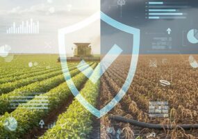 EY aponta grau de preparo das empresas brasileiras do agro em 2026