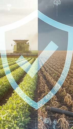 EY aponta grau de preparo das empresas brasileiras do agro em 2026
