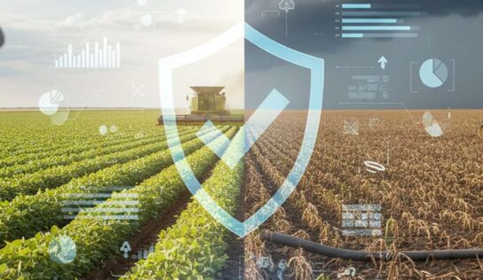 EY aponta grau de preparo das empresas brasileiras do agro em 2026