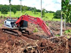 Link-Belt amplia vendas na América Latina em cenário de retomada