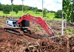 Link-Belt amplia vendas na América Latina em cenário de retomada