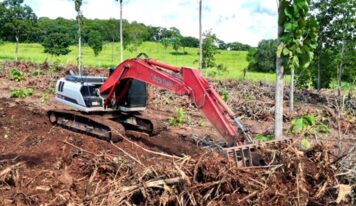 Link-Belt amplia vendas na América Latina em cenário de retomada